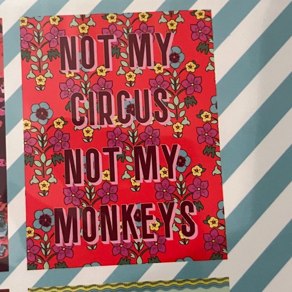 Funny Inspiring and Sarcastic Note Cards (1 box / 8‎ cards /new)